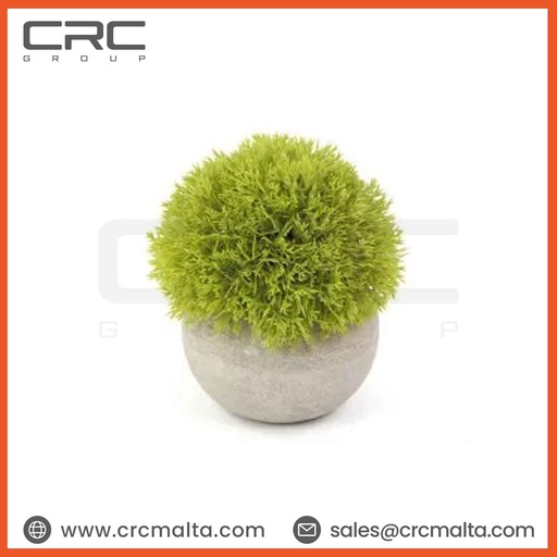 CRC Mini Artificial Plant TPM61981